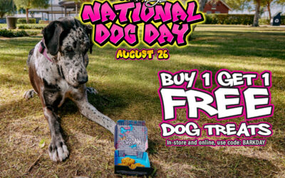 Celebrate National Dog Day with our Peanut Butter Dog Treats