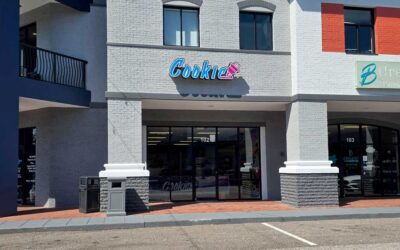 Join Wesley Chapel Cookie Plug on Saturday, June 28th, 2025, for Our Grand Opening!